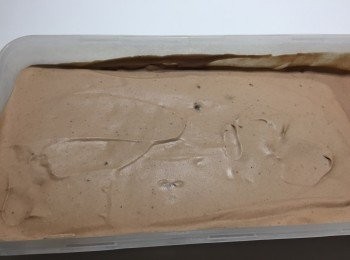 step8: 取出來要待幾分鐘才容易些刮起雪糕