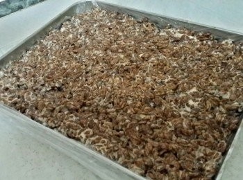 step3: 大盤先鋪上保鮮紙，再將卜卜米倒落已鋪好保鮮紙既大盤上攤平壓實，放入雪櫃雪45-60分鐘后切件即成~
(拉起保鮮紙就可連同卜卜米取出切件)