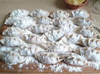 step9: 將餃子放入保鮮袋內封口 , 再放入冰箱冷藏30分鐘