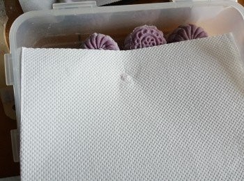 step23: 冰皮月餅用密實盒裝起放入冰箱,面舖一塊廚房紙(廚房紙作用是吸濕氣)