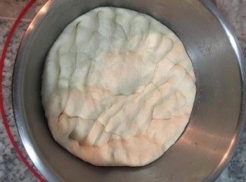 step7: 當麵糰漲大到兩倍大時,可以將手指沾濕後戳入麵糰,如不會回縮則表示麵糰已完成發酵；接著手握拳,輕壓麵糰將空氣排出。