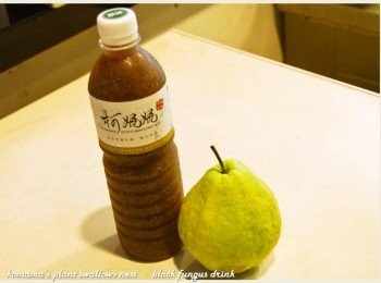 step1: 事先準備黑木耳養生露與紅心芭樂等<span class="group_1">食材</span>。