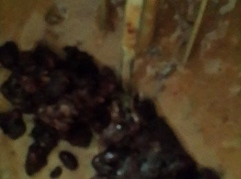 step3: 變稠狀後離開爐火加入紅豆泥與糖拌勻
