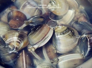 step5: 4小時之後的模樣，蛤蜊們每一顆都很努力的在呼吸