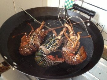 step2: 龍蝦用水煮25分鐘至全熟（時間按龍蝦大小調節）