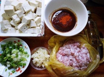 step1: 備好材料，豆腐切小塊狀、蔥蒜薑切末、所有<span class="group_2">調味</span>事先調好