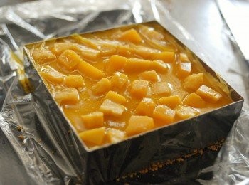 step7: <span class="group_2">芒果鏡面</span>做法：用70毫升水與5克魚膠粉/吉利丁拌勻，加入兩湯匙芒果果泥拌勻，待涼， 然後倒入在<span class="group_1">芒果慕斯</span>上（也可放上果肉作裝飾）。放入雪櫃冷卻最少兩小時至凝固