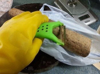 step6: 戴上手套將鮮淮山去皮切段(因為淮山的皮接觸到皮膚會令皮膚痕癢)