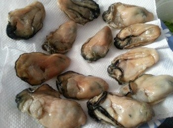 step1: 金蠔洗淨後,用廚房紙印乾水份