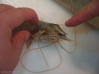 step8: 將蝦頭和蝦尾的尖刺切除；將烏賊洗淨後，切花，備用。