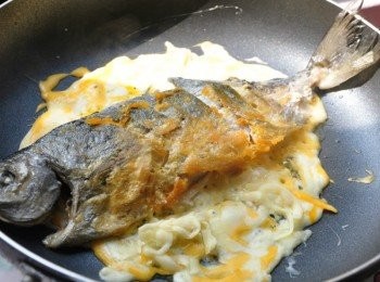 step7: 再將花鯧平放於乳酪絲上