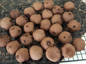 step13: 放於架上攤凉