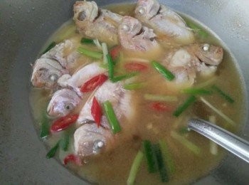 step2: 倒入少許橄欖油，以中火熱鍋後，放入盤仔魚【澎湖野生水產】，蓋鍋蓋，煎約3分鐘後，轉中小火續煎，煎至呈金黃色，