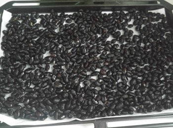 step3: 焗盆鋪上牛油紙, 黑豆平均分佈在焗盆上。