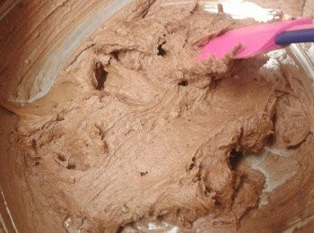 step5: 最後加入已溶化的巧克力漿拌勻即成！