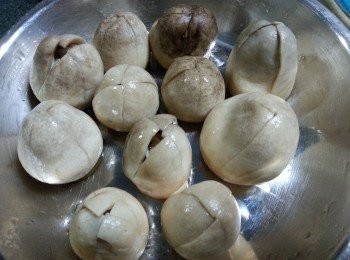 step4: 將草菇界開十字,(不要界斷草菇)