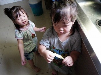 step6: 連我家菀荽跟小隻都來湊熱鬧~一起捲捲兒