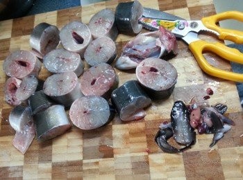 step2: 白鱔用廚剪剪去則邊部份的魚翅