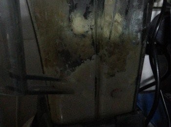 step5: 可放入攪拌機攪碎,或將蓮子壓溶