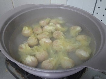 step6: 清水煮沸， 下雲吞煮至浮起， 再15秒左右便可放在湯中， 灑上蔥花及韭黃段便可食用。------<span class="group_2">湯底</span>：  500ml雞湯加1茶匙大地魚粉慢火煮滾， 用隔油網網去大地魚粉楂便可