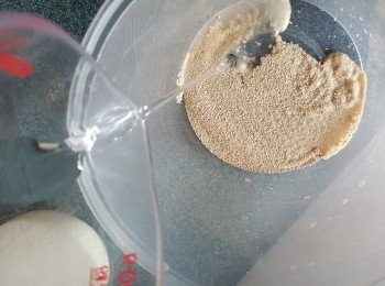 step2: 先用10g食用開水倒入3g酵母中拌勻待酵母起泡(約5分鐘)