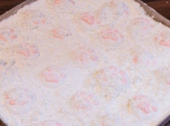 step11: 灑上混合好的粟粉和糖霜，自然風乾 6 – 8 小時以上至棉花糖內完全乾透。