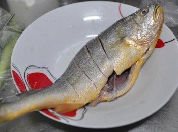 step1: 將黃魚洗淨後，兩面劃開數刀，再沾裹些地瓜粉