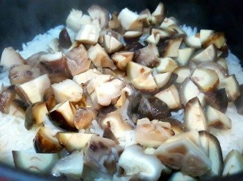 step4: 加入冬菇及栗子，轉中火加熱1分鐘，再轉小火多煮12分鐘 （有飯焦版）