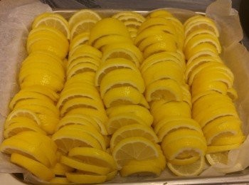 step5: 每邊檸檬可切到約7至8片。