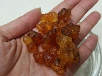 step1: 先將桃膠浸水最少十二小時