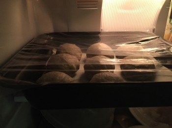 step5: 放入焗盤, 封上保鮮紙後放入雪櫃, 進行低溫發酵20小時