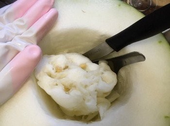 step3: 準備好匙及小刀 (我用尖頭小刀，方便直方向界開，先用匙刮去中間的冬瓜籽部份