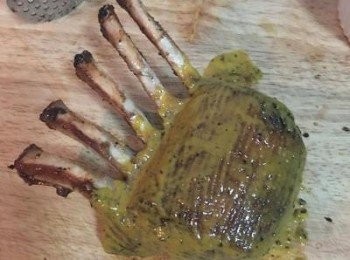 step3: 烤箱取出後塗上黃芥末，面朝上，再入烤箱烤4分鐘。取出後靜置3分鐘後再切開擺盤，盤子上可放些市售辣起司醬混合黃芥末的醬汁，或者搭配市售薄荷醬皆可。旁邊再放上沙拉當配菜。