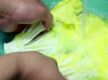 step10: 所有的材料準備好後, 檢查大白菜是否已經變軟。到把葉子容易對摺, 就可以了。
之後, 再以清水洗兩遍, 盬巴的鹹味就能洗淨, 也可摘一片葉子來試試。之後滴乾水份，不要擠壓它。