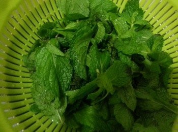 step2: 薄荷葉用鹽水浸半小時，抹乾水份