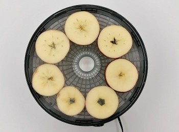 step3: 再一片片鋪在網片上(食物風乾機專用)全部放進機器裡進行風乾。過程中需稍微調整每層蘋果片的位置,經過57度c的低溫風乾18-20小時即可完成。