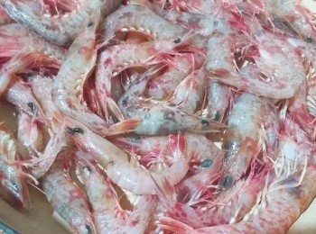 step2: 將赤米蝦平鋪, 加上2湯匙水, 之後加蓋, 中火3分鐘, 轉小火4分鐘, 即成.