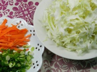 step1: 高麗菜切絲、紅蘿蔔切絲、蔥切碎