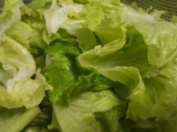 step2: 生菜，清洗後隔乾水份