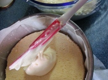 step15: 再倒入蛋糕內抹平