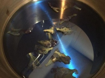 step1: 先將乾既蝶豆花加入熱水浸泡約15-20分鐘, 然後隔渣放涼備用