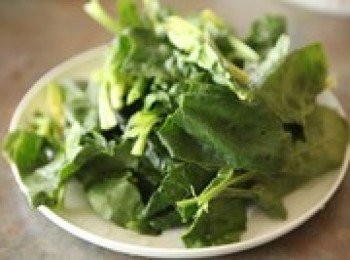 step1: 菠菜去根及洗淨，切成段，約6厘米左右的