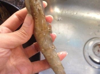 step1: 虎蝦解凍洗淨後，剪去蝦鬚。