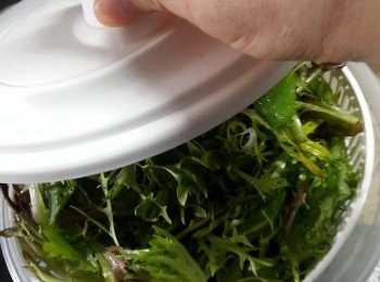 step1: 雜沙律菜洗淨後,用去水器轉出水份待用