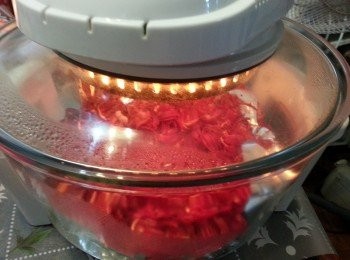 step3: 放入光波爐，底部加一塊錫紙。