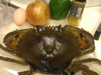 step1: 準備材料: 洋蔥切絲,青椒切絲,劏蟹,蛋發勻,將蟹撲粉備用