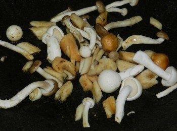 step6: 用些許的橄欖油炒菇類
