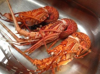 step3: 撈起即浸冷水半小時, 再雪凍然後開邊就得喇.  (開邊先用較剪剪開d殼，再用刀在裂縫破開，咁就會靚靚喇)