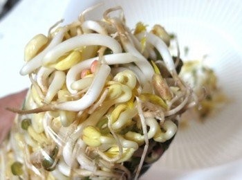 step11: 將寶特瓶剪開取出~