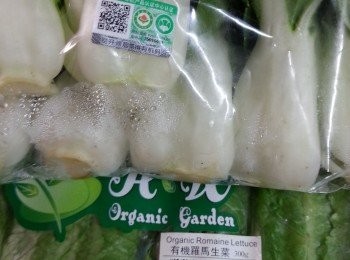 step2: 有機菜洗乾淨,羅馬生菜切段,白菜仔摘1塊塊菜葉待用